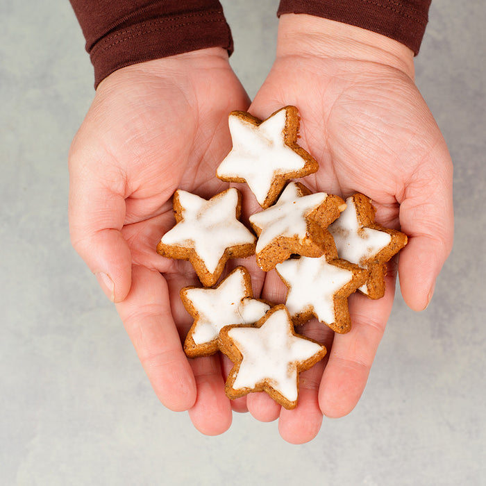Cinnamon Sugar Iced Holiday Cookies in Hand
